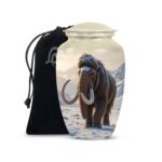 Beautiful Cremation Urns for Female - Decorative & Burial Urn for Mom & Dad.